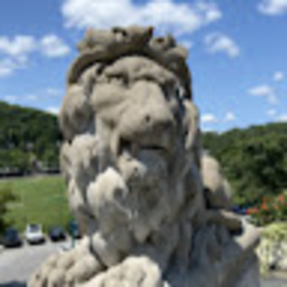 Meet your Posher, Michelle - Picture 1 of 1